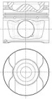 WILMINK GROUP wg1094145 -  